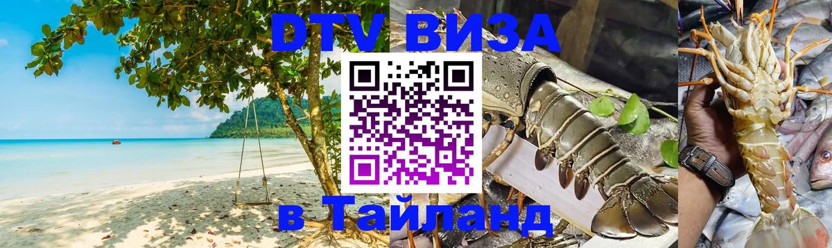 Оформление DTV визы под ключ: стоимость и тарифы, только загранпаспорт - 
